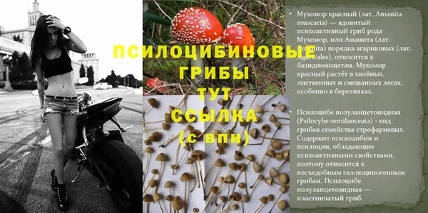 марихуана Алексеевка