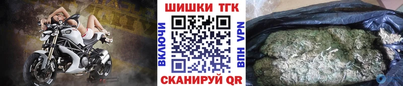 Бошки марихуана THC 21%  как найти наркотики  Гдов 